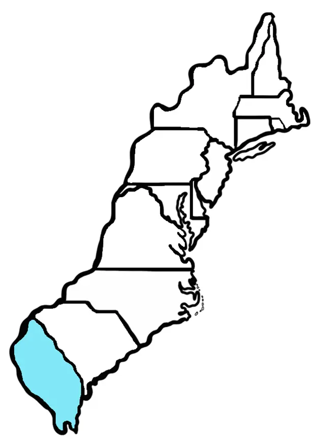 Map of Georgia Colony