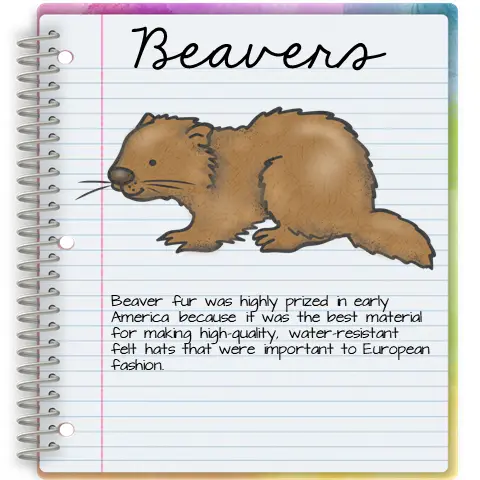 beaver adaptations mini book activity