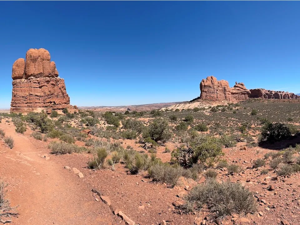 Red rock formations and desert plants under a blue sky