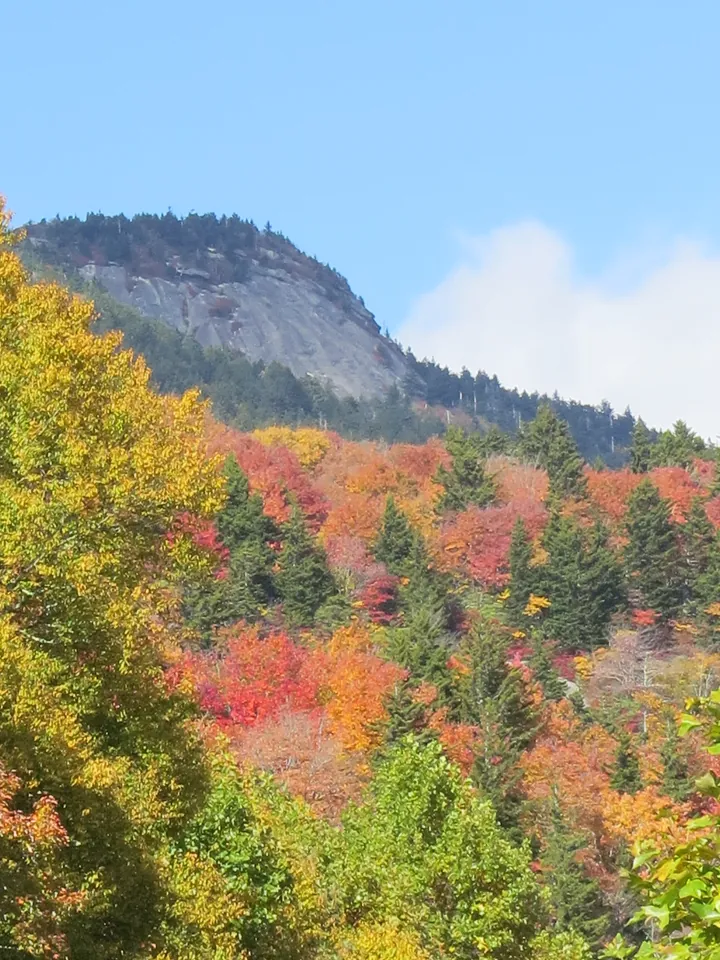 Mountains covered in fall colors in North Carolina