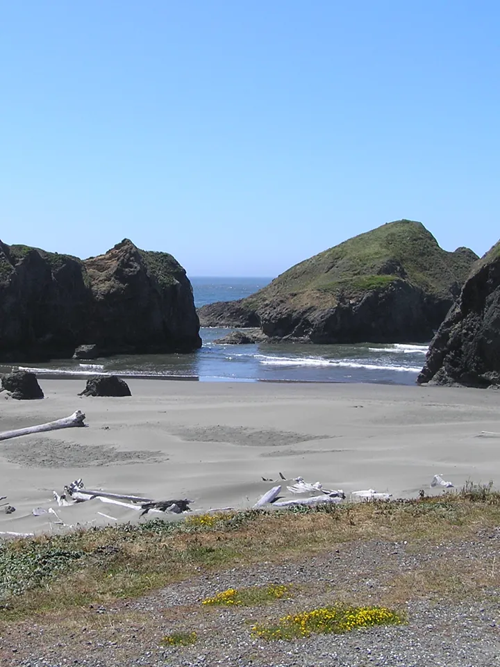 A sandy beach with dark rocks and forested hills along the ocean