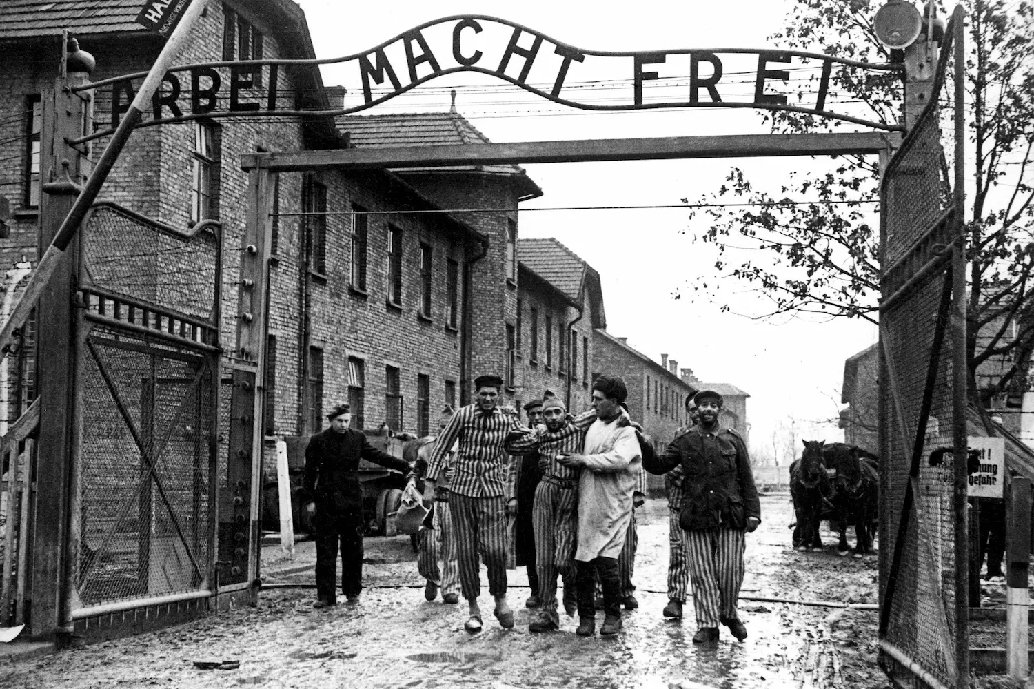 Liberation of Concentration Camps