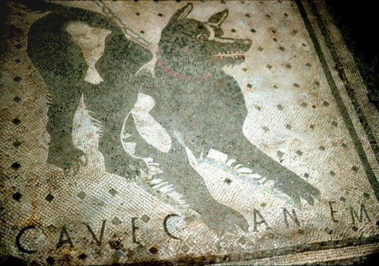 Pompeii. House of the Tragic Poet. Cave Canem mosaic