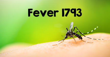 Activities to do with the Novel Fever 1794