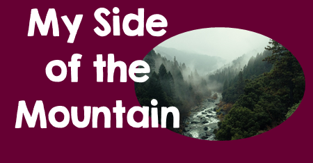 Activities to do with the Novel My Side of the Mountain