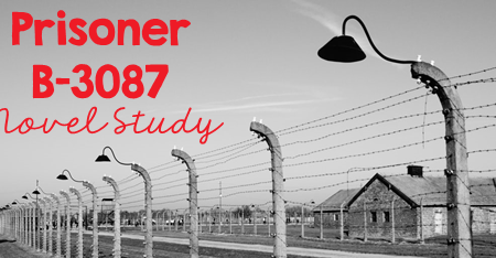 Prisoner B-3087 Teaching Activities