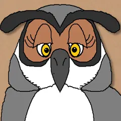 Hoot