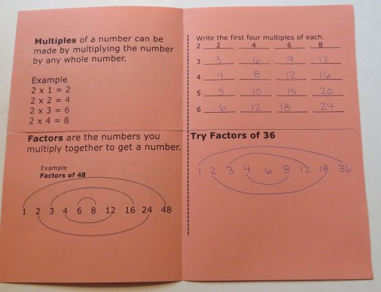 What are multiples and factors? Organizer