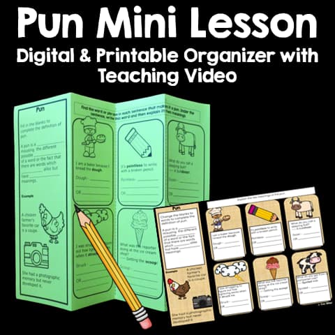 Pun Mini Lesson Digital & Printable Organizer with Teaching Video