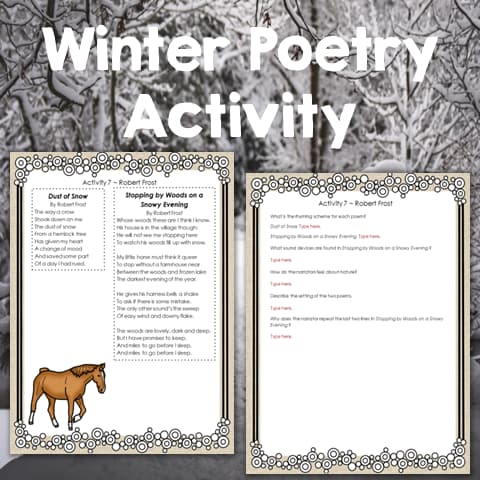 Winter Poetry Activity