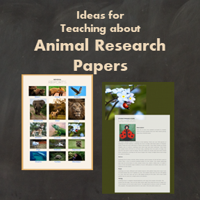 Animal Research Papers