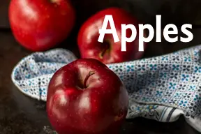 Apple Theme Lessons