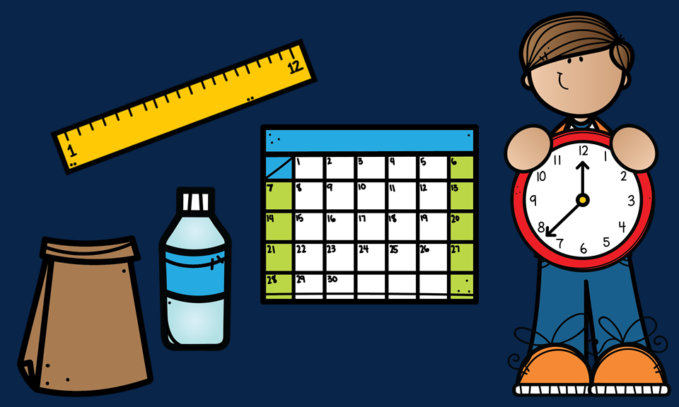 Measurement Unit