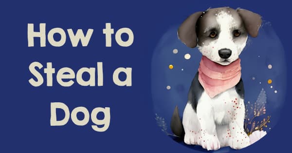 How to Steal a Dog Teaching Activities