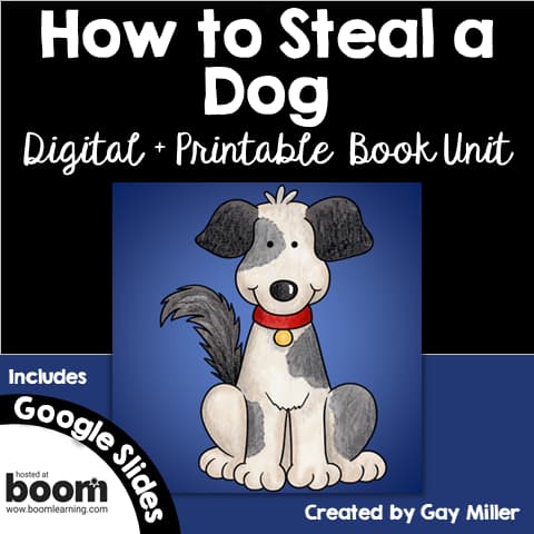 How to Steal a Dog Novel Study
