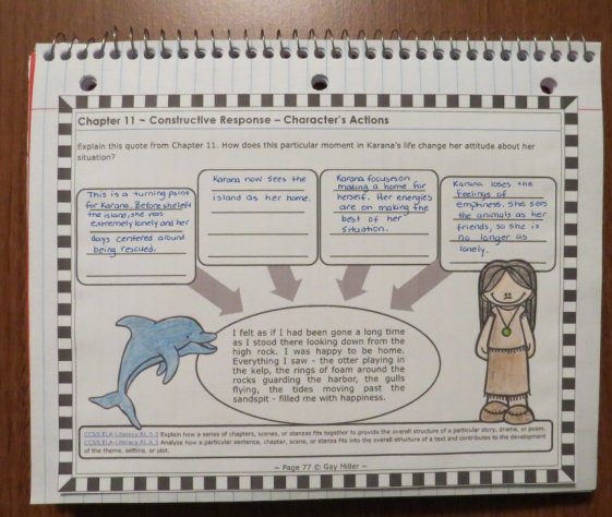Island of the Blue Dolphins Anchor Chart