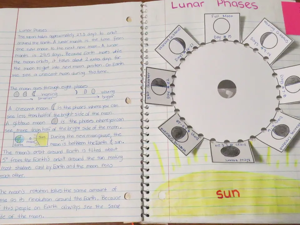 Lunar phases wheel organizer in student notebook