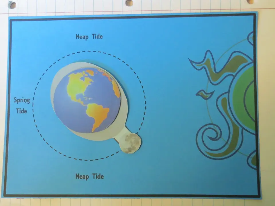 Tides model showing spring and neap tides