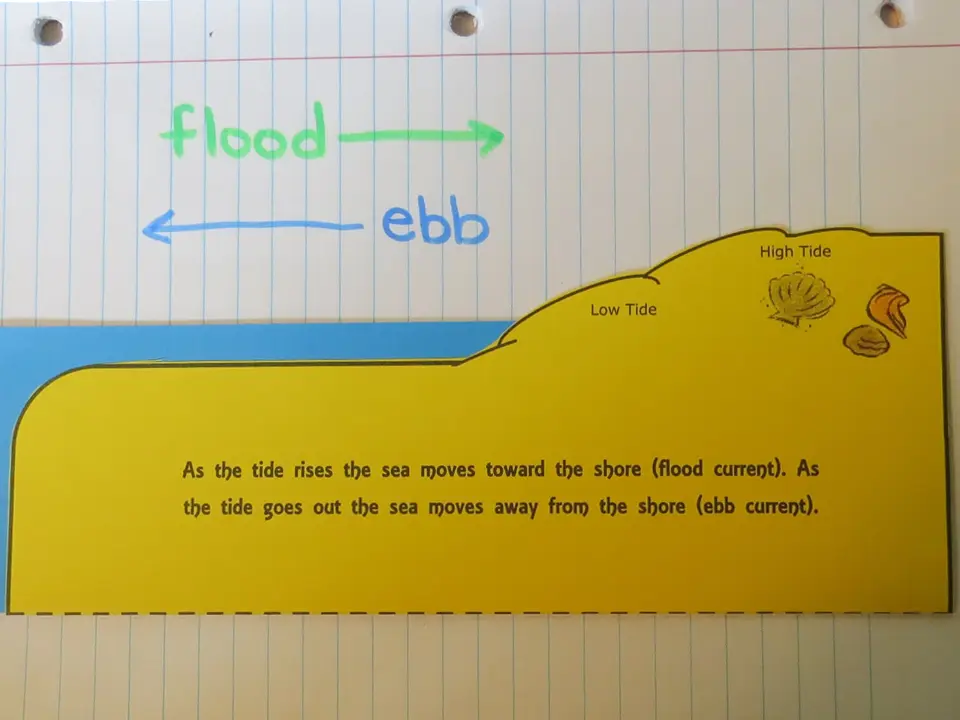 Ebb and flood tide current organizer