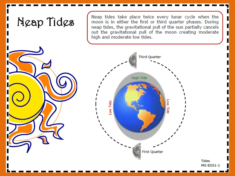 Neap tides poster