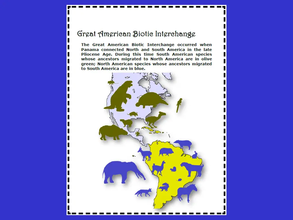Photo: Great American Biotic Interchange