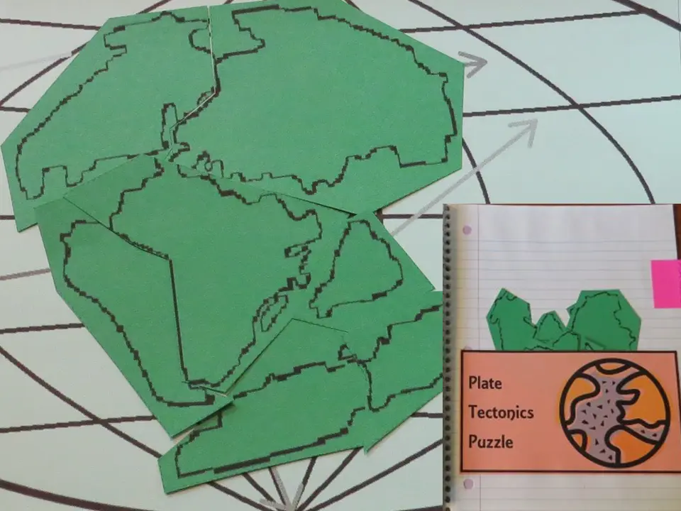 Photo: Continent shapes comparison organizer