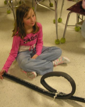 Roller Coaster Experiment