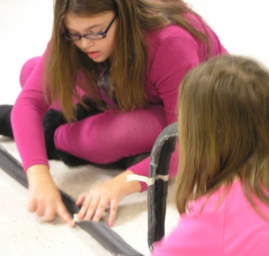 Roller Coaster Experiment