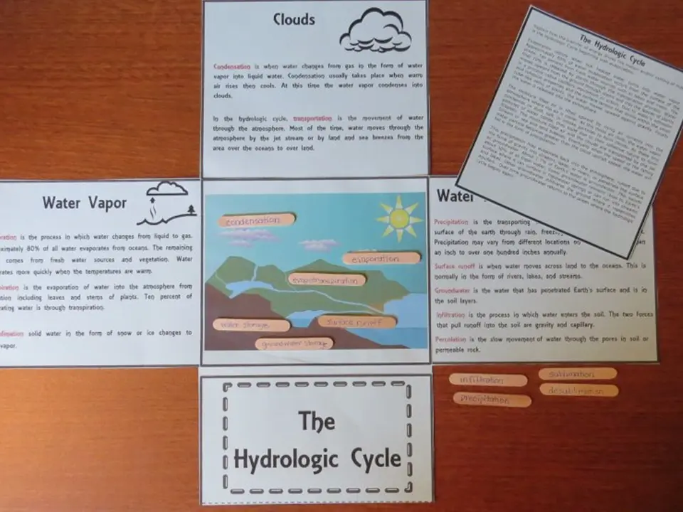 Hydrologic cycle interactive organizer