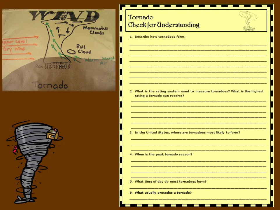 Tornado organizer and check for understanding
