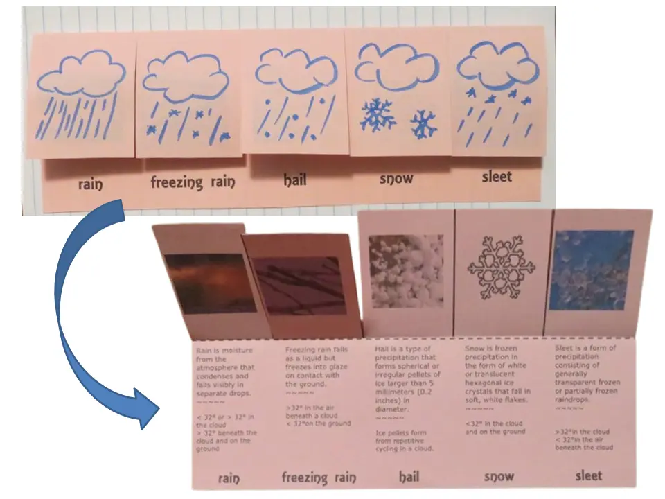 Five-flap precipitation types flip organizer