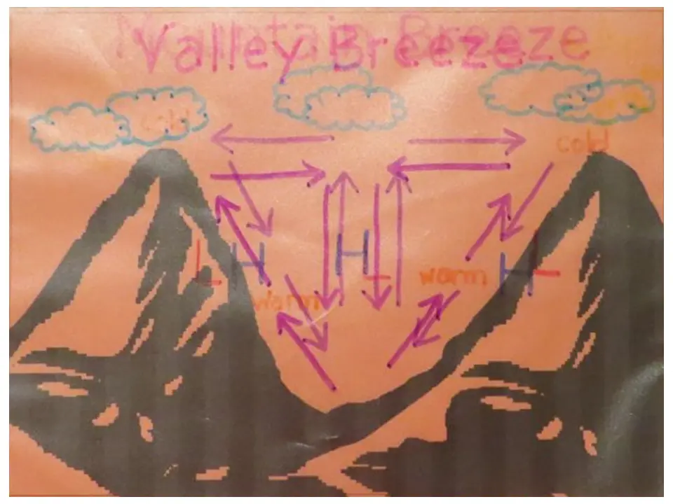 Valley breeze plastic overlay organizer