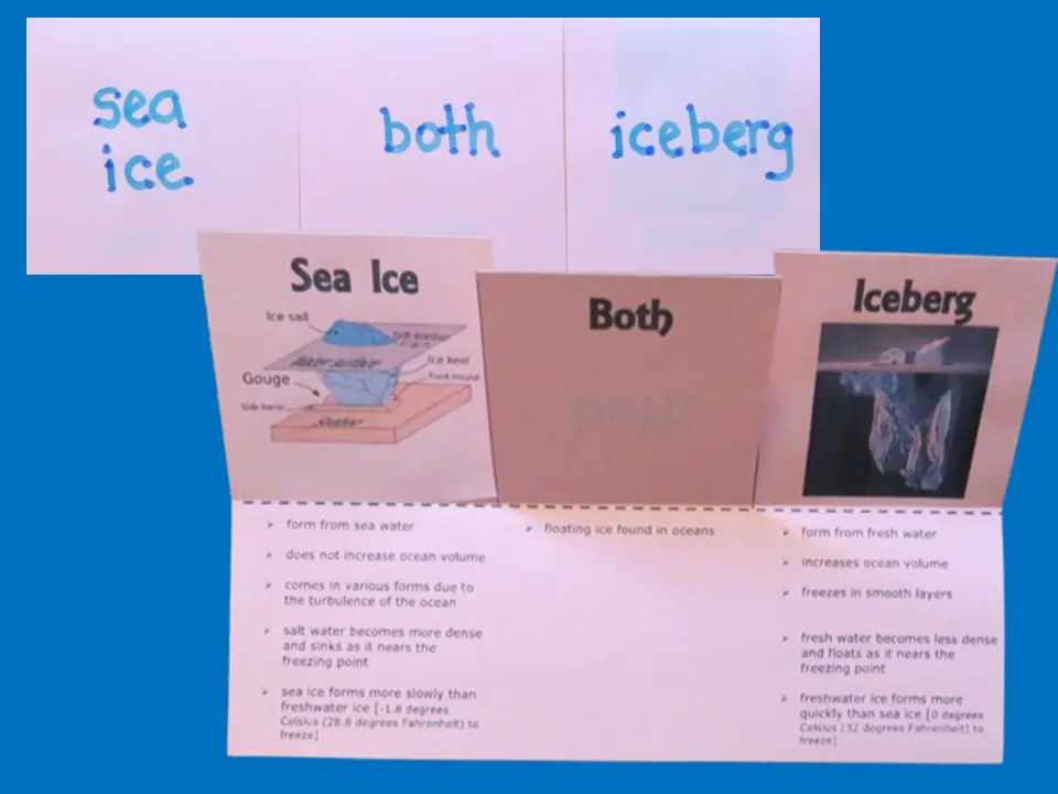Sea ice vs iceberg three-flap Venn organizer
