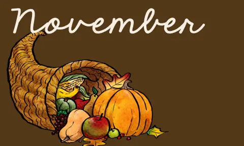 November Special Days
