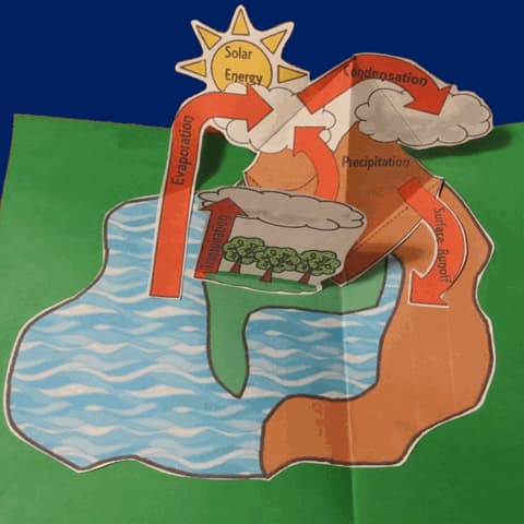 Water Cycle Pop-Up Organizer
