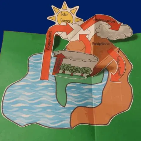 Water Cycle Pop-Up Organizer