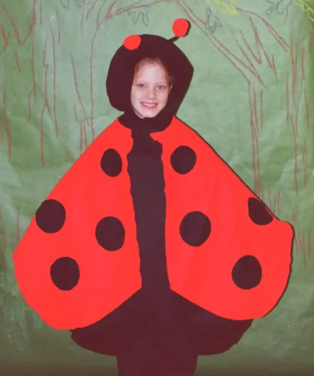 Close-up of a ladybug