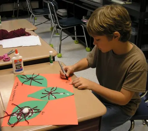 Second student spider life cycle project