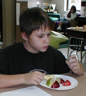 Students Comparing Apple Varieties
