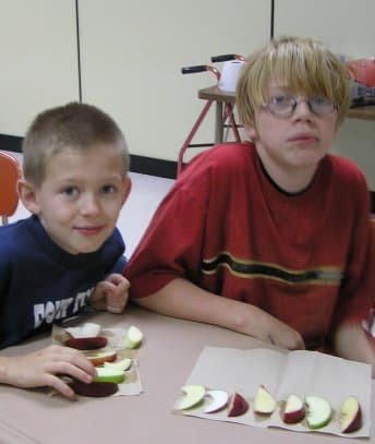 Students Comparing Apple Varieties