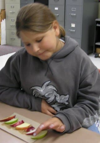 Students Comparing Apple Varieties