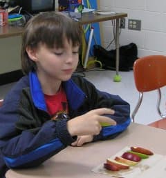 Students Comparing Apple Varieties