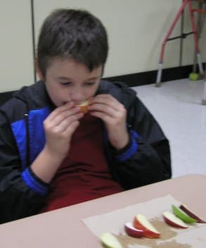 Students Comparing Apple Varieties