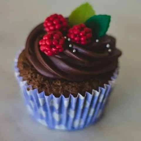 Chocolate Cupcakes