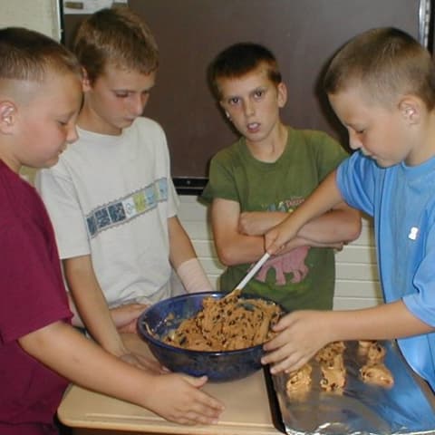 Chocolate Chip Cookies