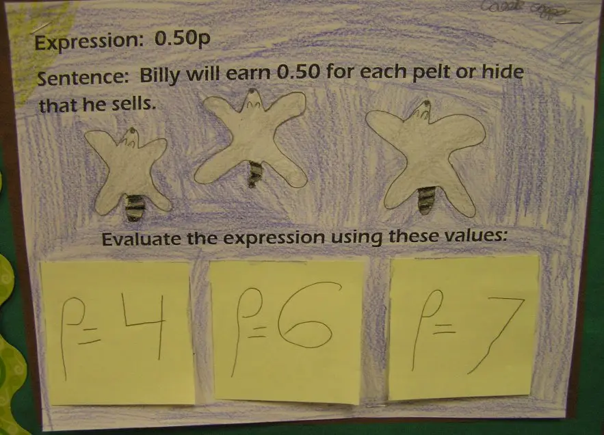 Raccoon pelts math expression illustration