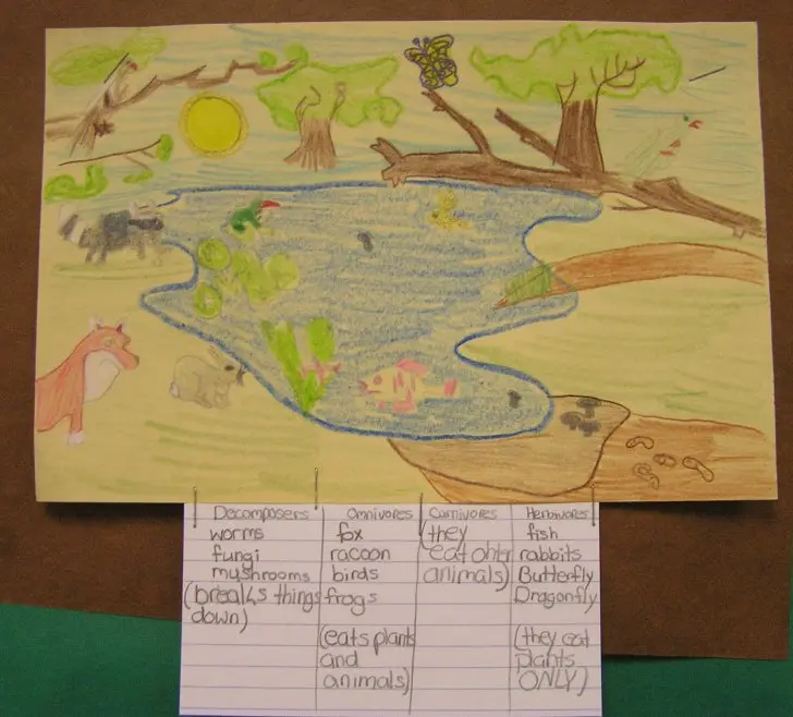 Food chain illustration with decomposers, herbivores, carnivores, and omnivores