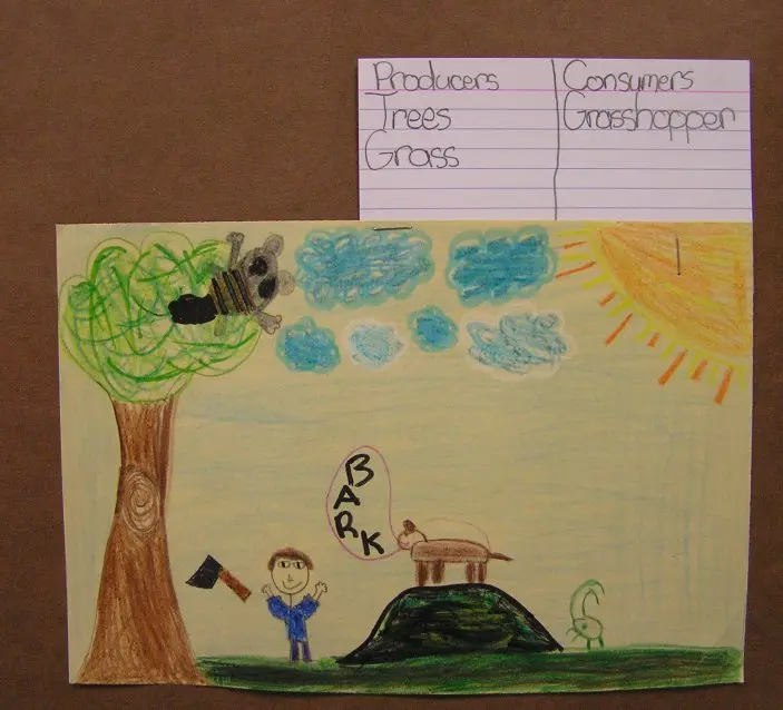 Producers and consumers forest scene illustration