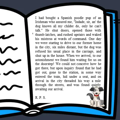 Dog Stories from The Spectator