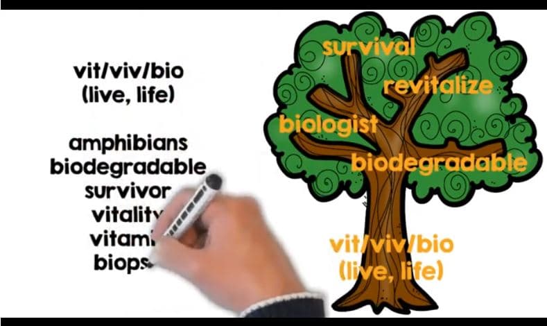 Root Word Video Lesson